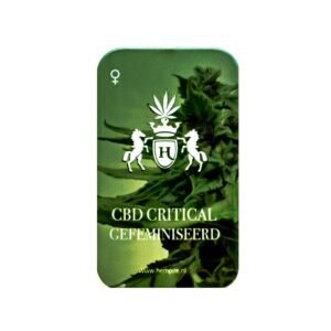 CBD Critical