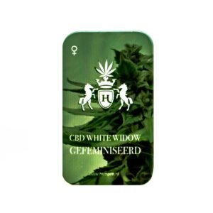 CBD White Widow