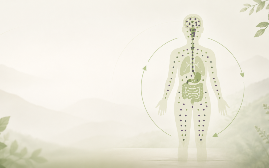Het endocannabinoïde systeem: een bijzonder systeem waar veel mensen nog nooit van hebben gehoord